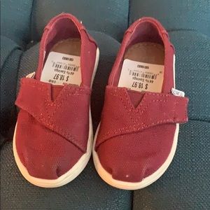 Toms Shoes - Size 5 Toddler